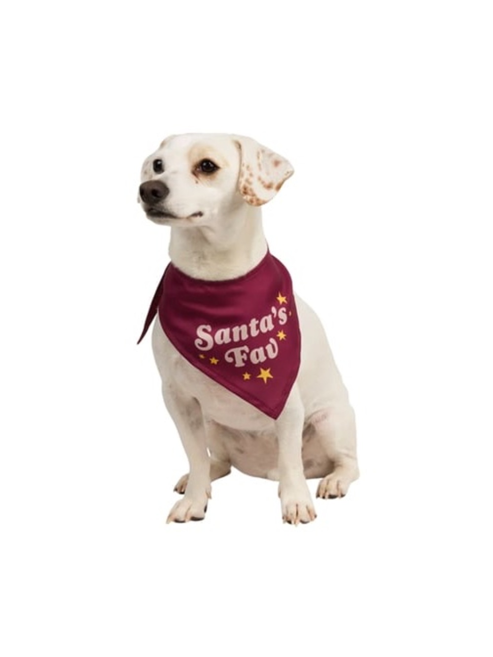 Holiday Burgundy Dog Bandana - Santa's Fav*